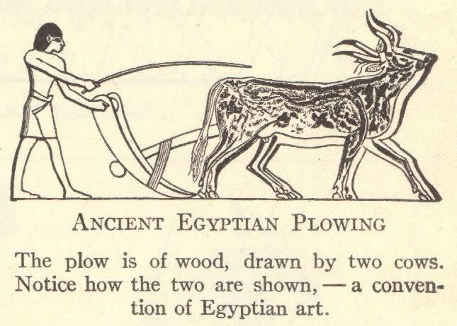 Ancient Plow