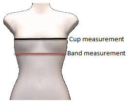 https://www.studenthandouts.com/00/201509/bra-cup-band-measurement.jpg
