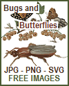 Butterflies, Bugs, and Insects - JPGs, PNGs, and SVGs
