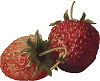 two plump red strawberries