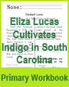 Eliza Lucas Cultivates Indigo in South Carolina - American HIstory Workbook for Lower Elementary Students
