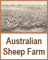 An Australian sheep farm, circa 1920.