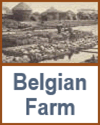 Soaking flax on a Belgian farm.