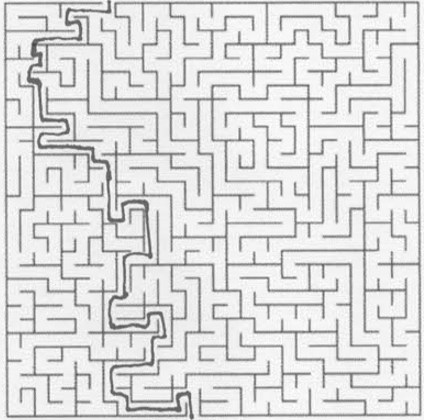 Maze Answer Key