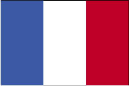 Official Flag of France